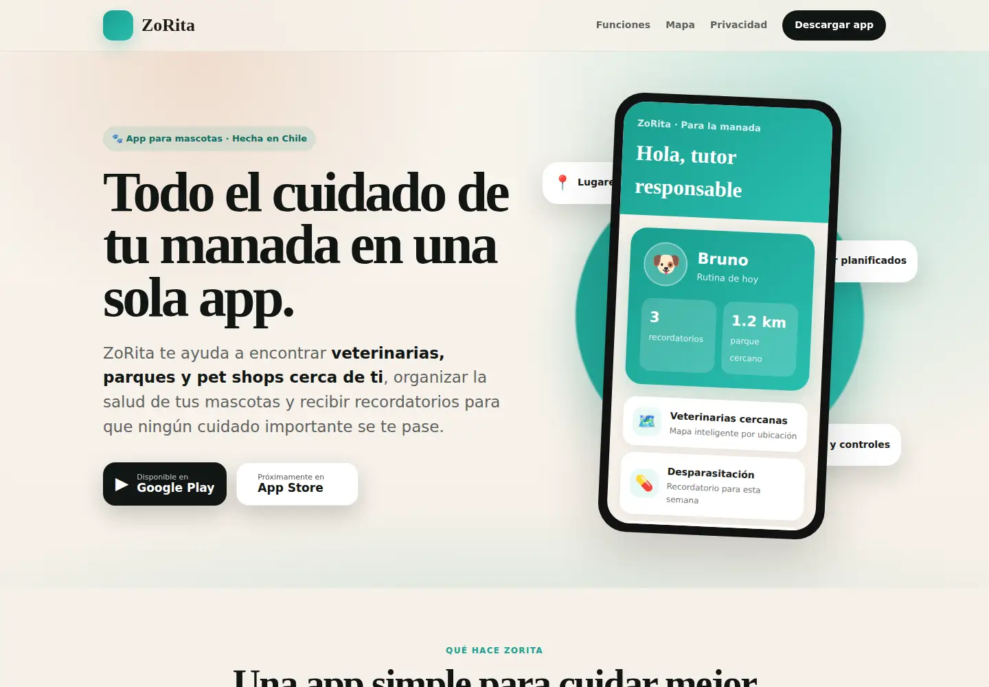 Screenshot of zorita.cl