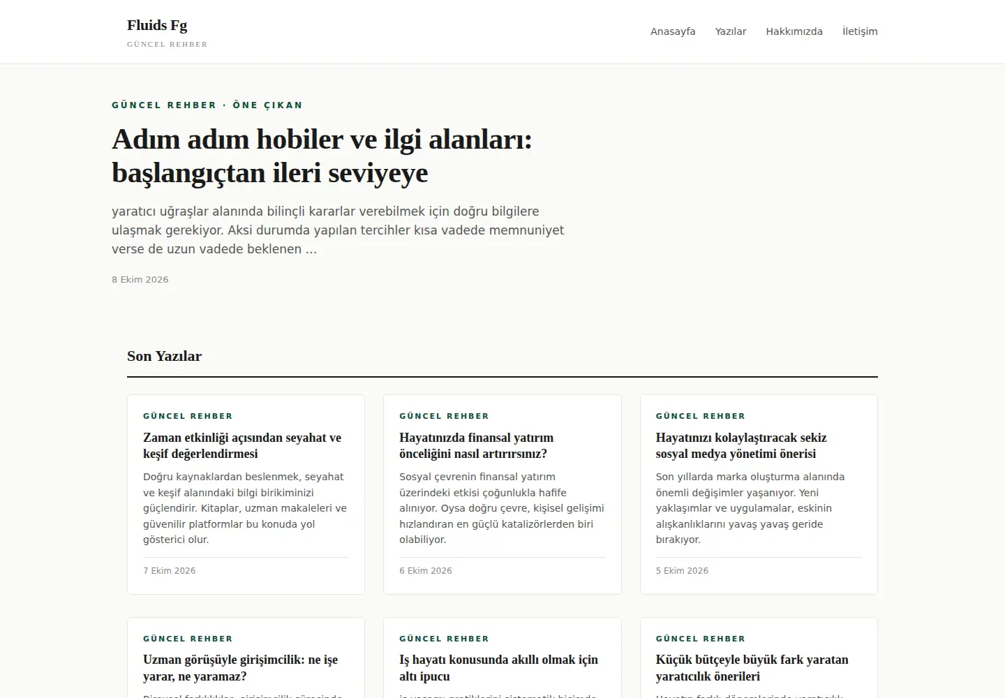 Screenshot of fluids-fg.click