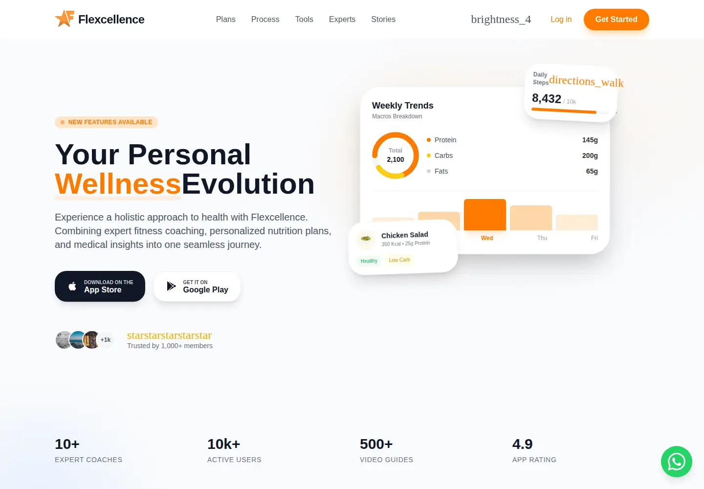 Screenshot of flexcellence.co