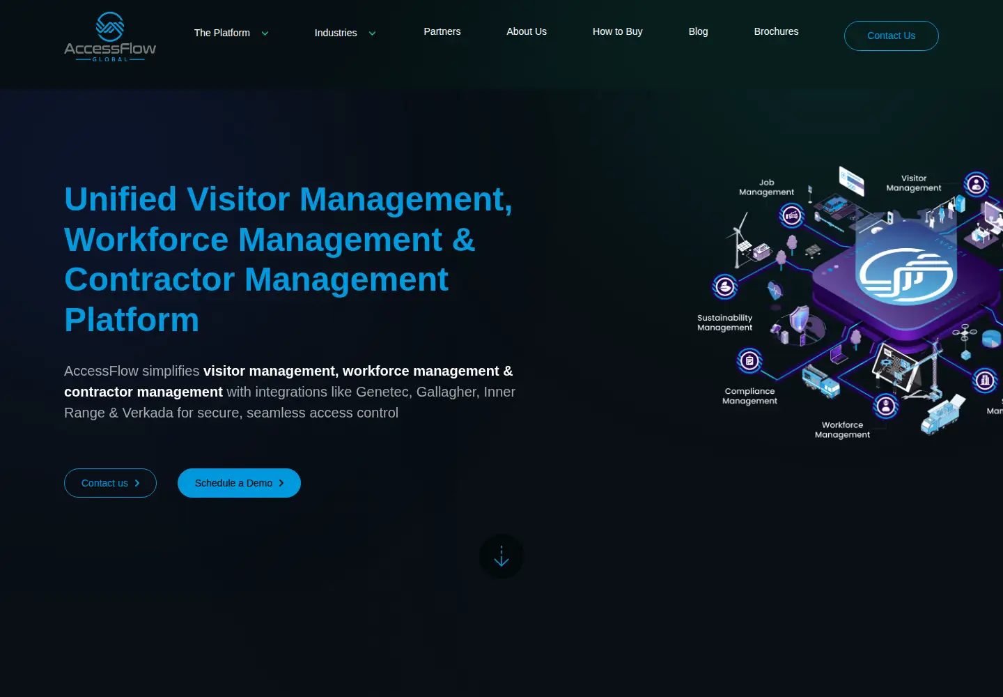 Screenshot of accessflowglobal.com