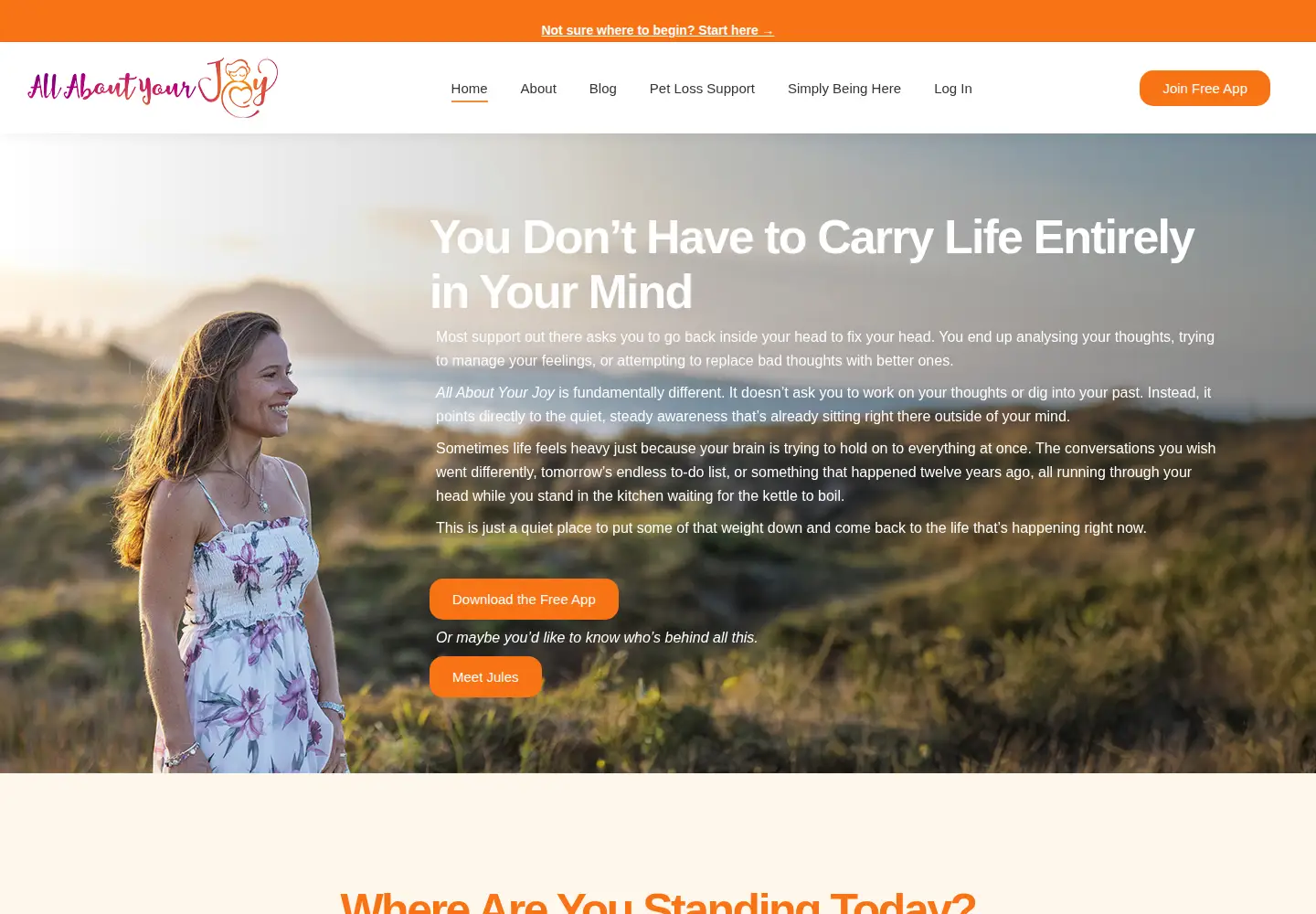 Screenshot of allaboutyourjoy.com