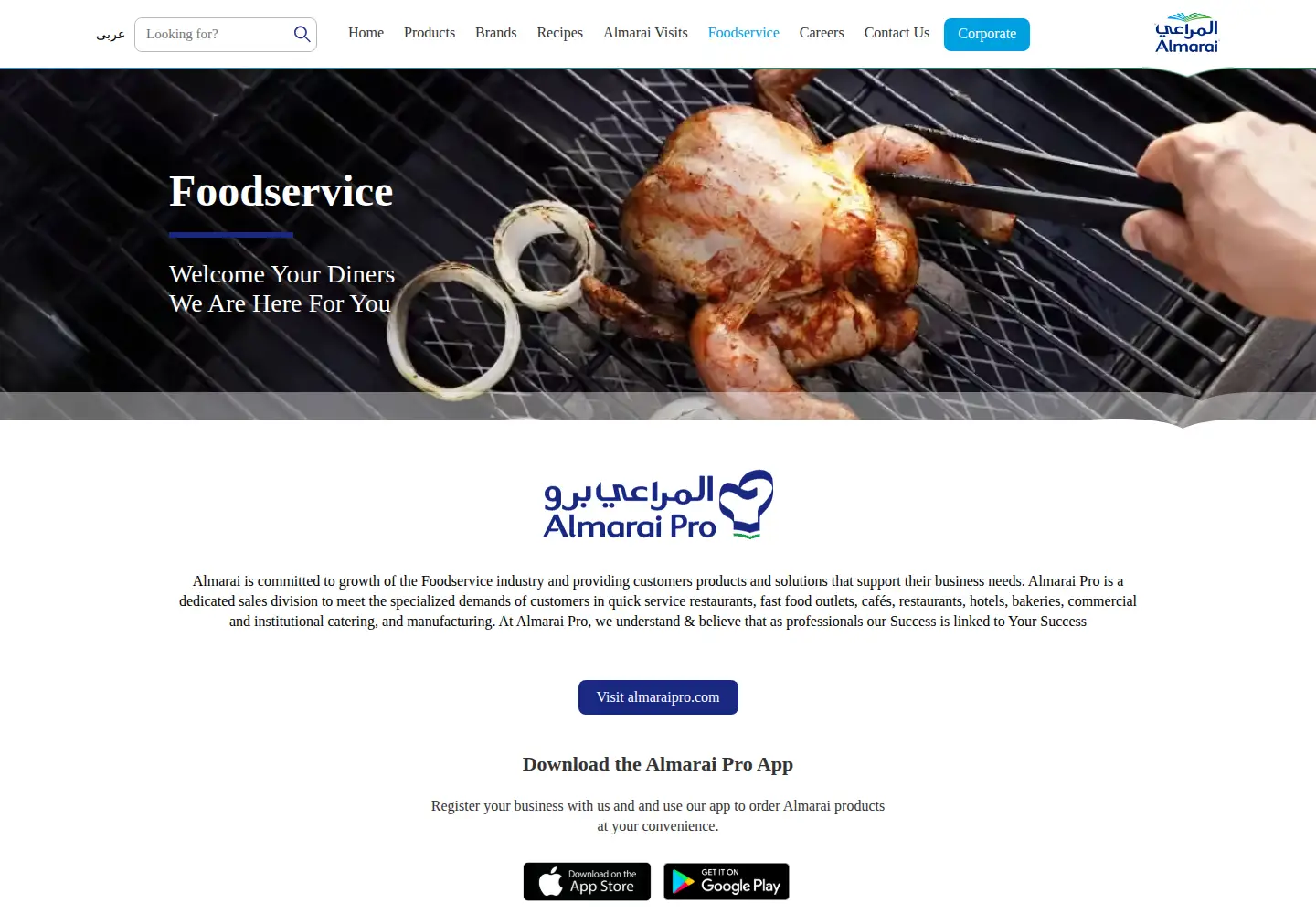 Captured homepage of almaraipro.com in the current scan