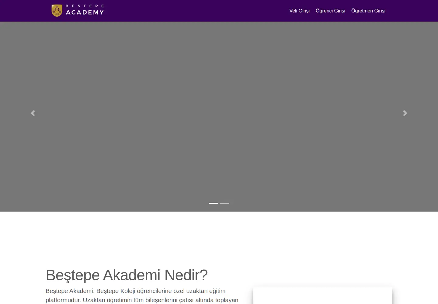 Screenshot of bestepeacademy.com