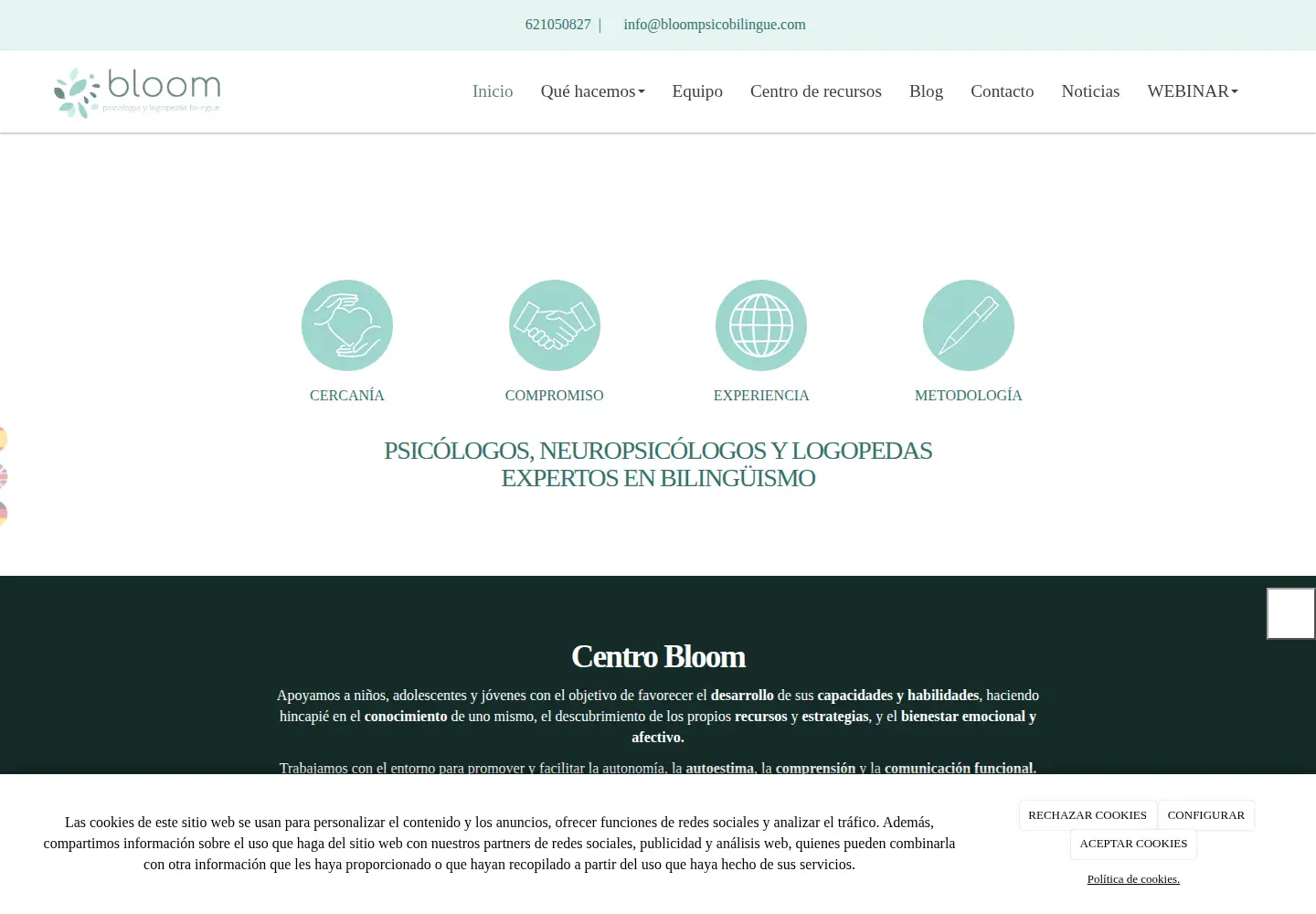 Captured homepage of bloompsicobilingue.com in the current scan