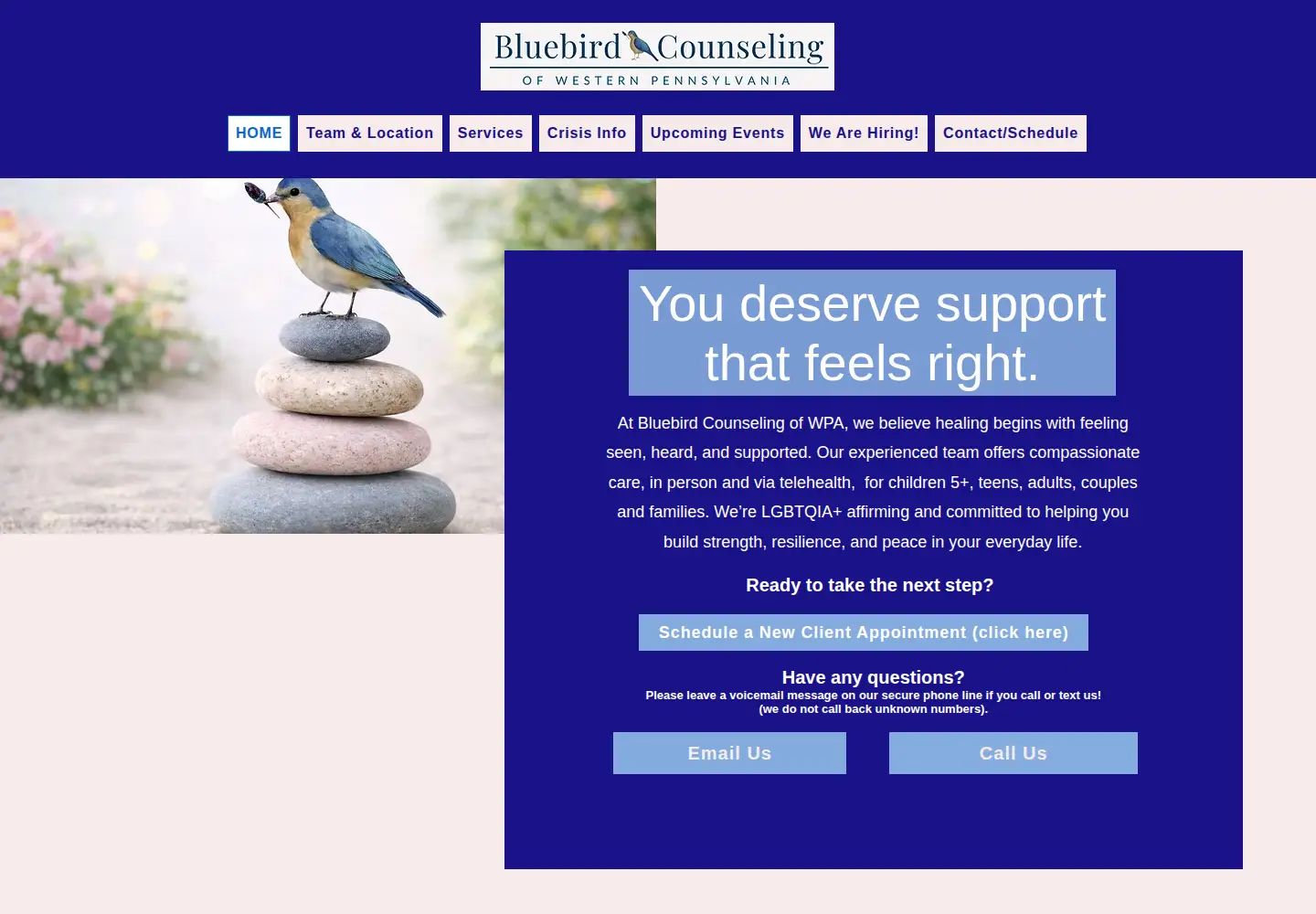 Captured homepage of bluebirdcounselingpa.com in the current scan