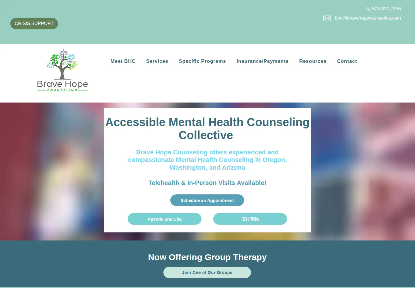 Screenshot of bravehopecounseling.com