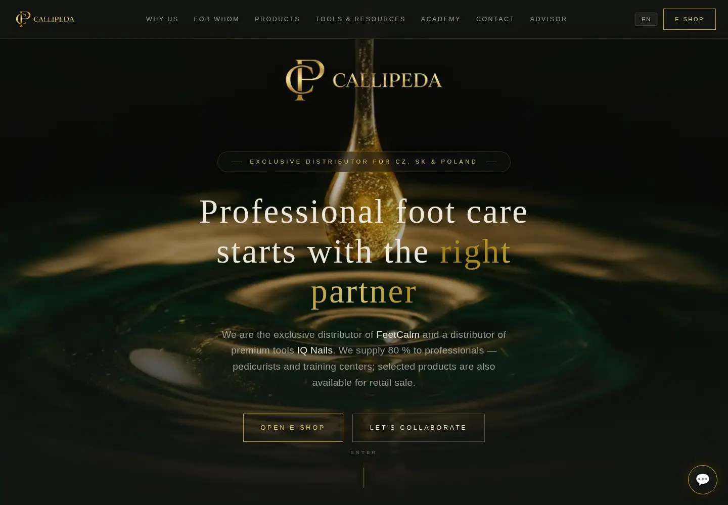 Captured homepage of callipeda.com in the current scan