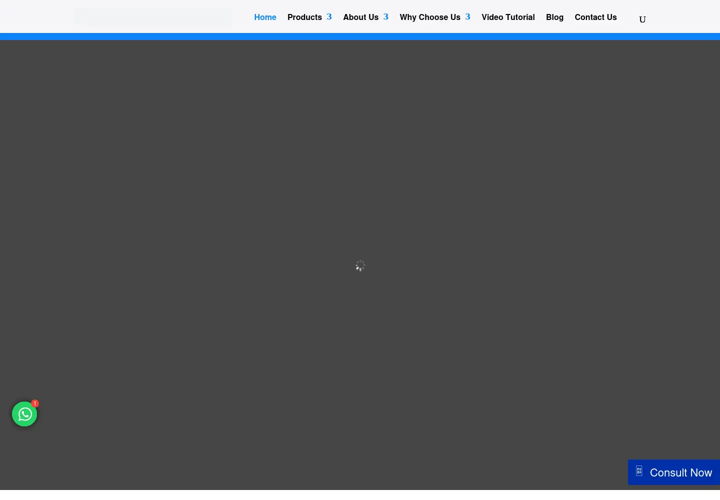 Captured homepage of coldchiller.com in the current scan
