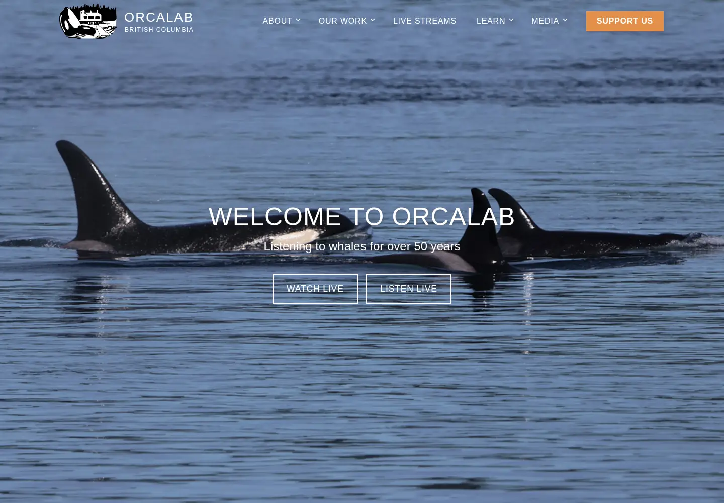 Screenshot of orcalab.org