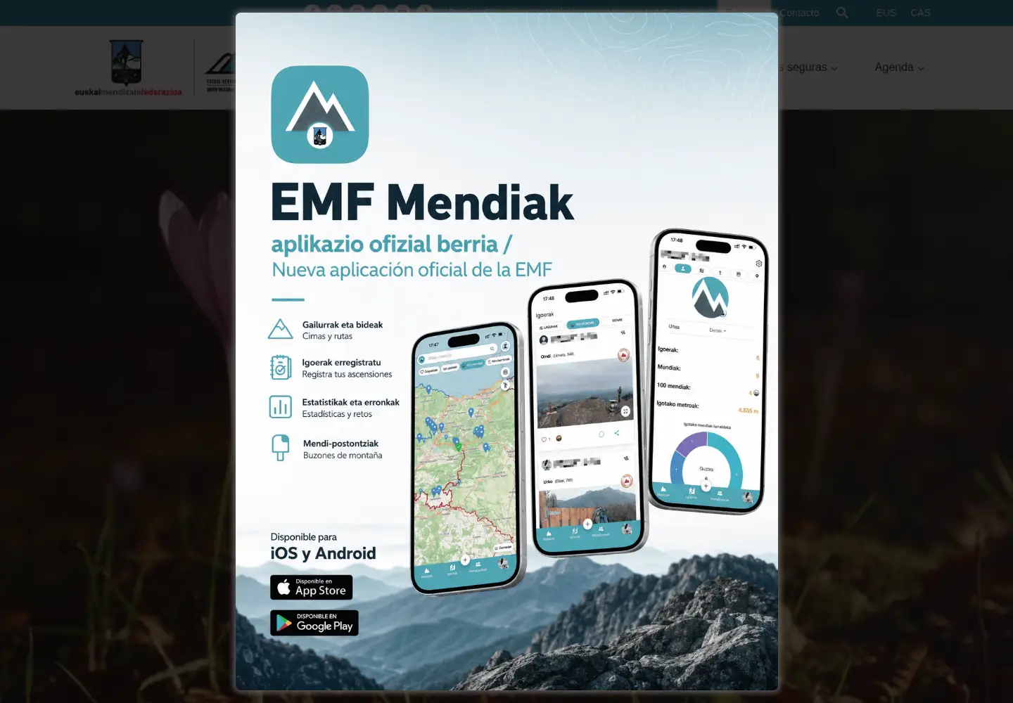 Screenshot of emf.eus