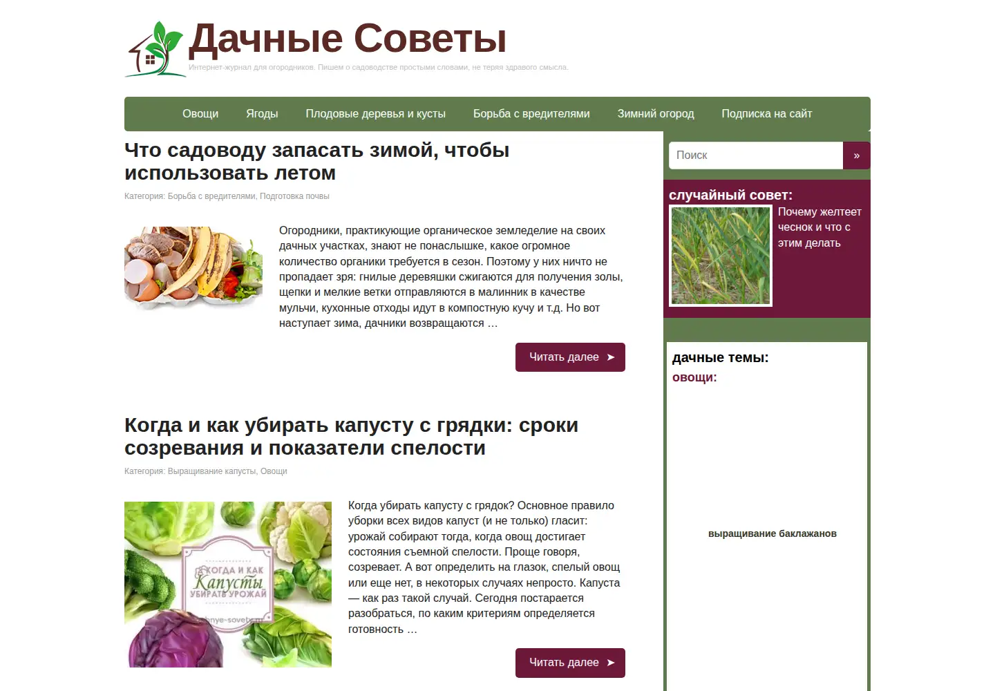 Captured homepage of dachnye-sovety.ru in the current scan