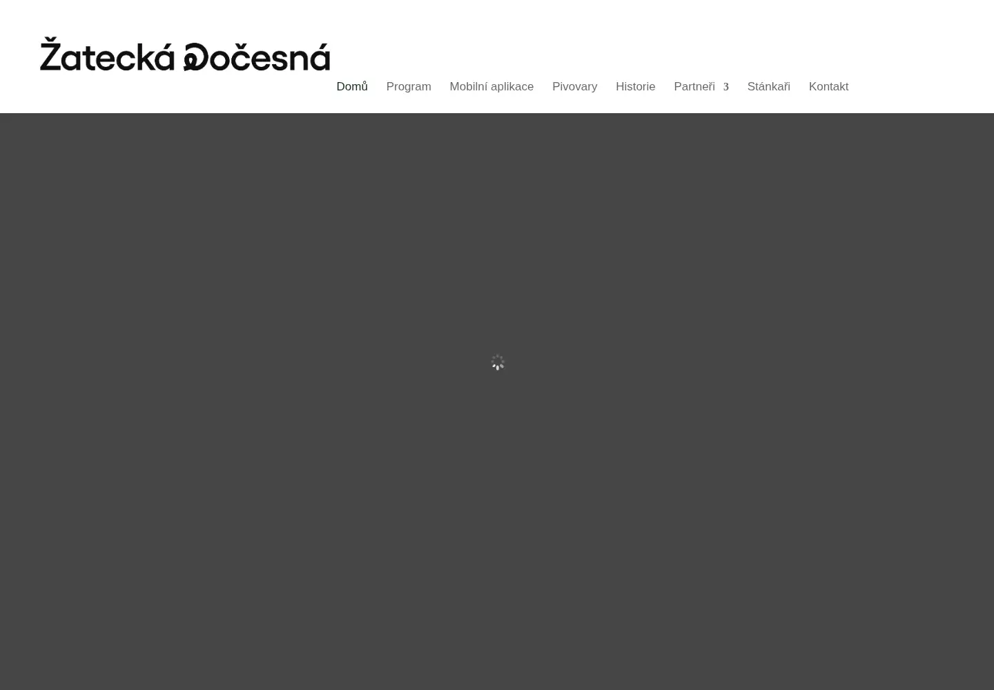 Screenshot of docesna.cz
