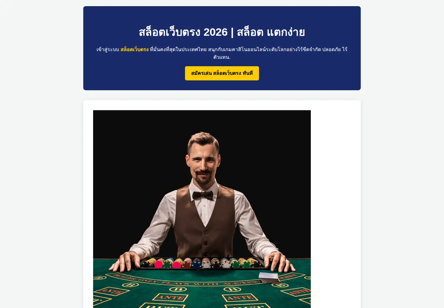Captured homepage of tanis-turkmen.nl in the current scan