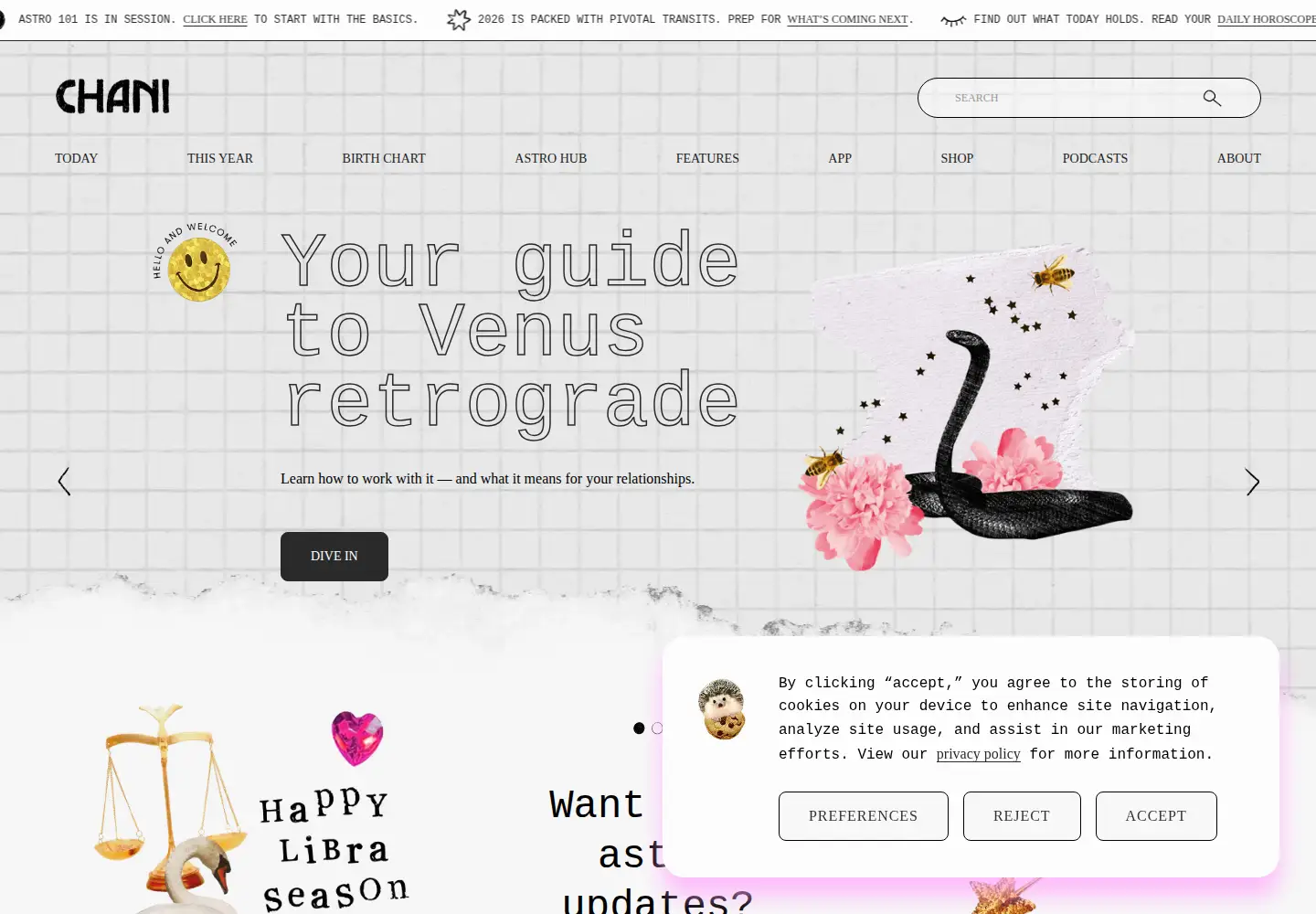 Screenshot of chani.com