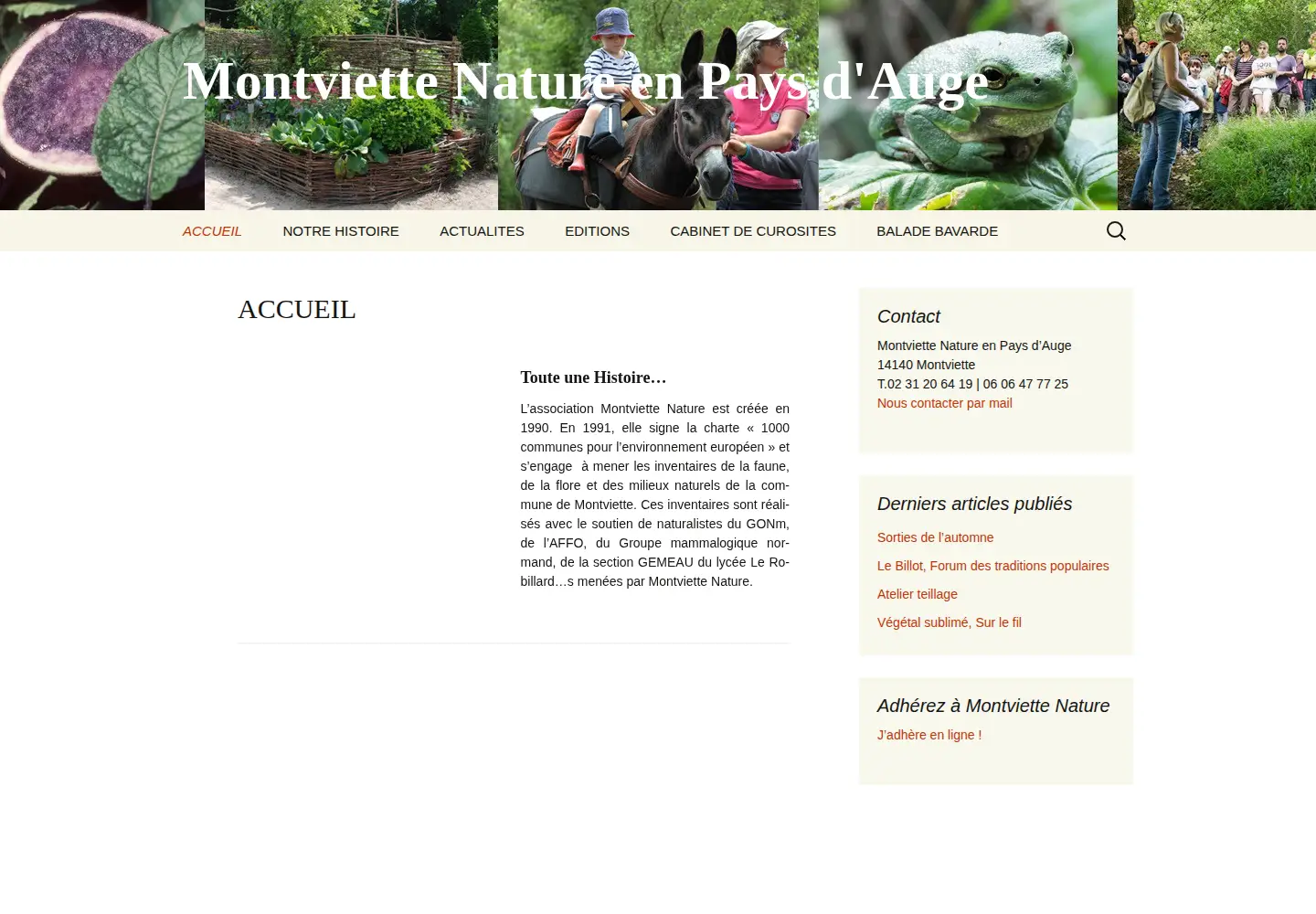 Captured homepage of patauge.org in the current scan