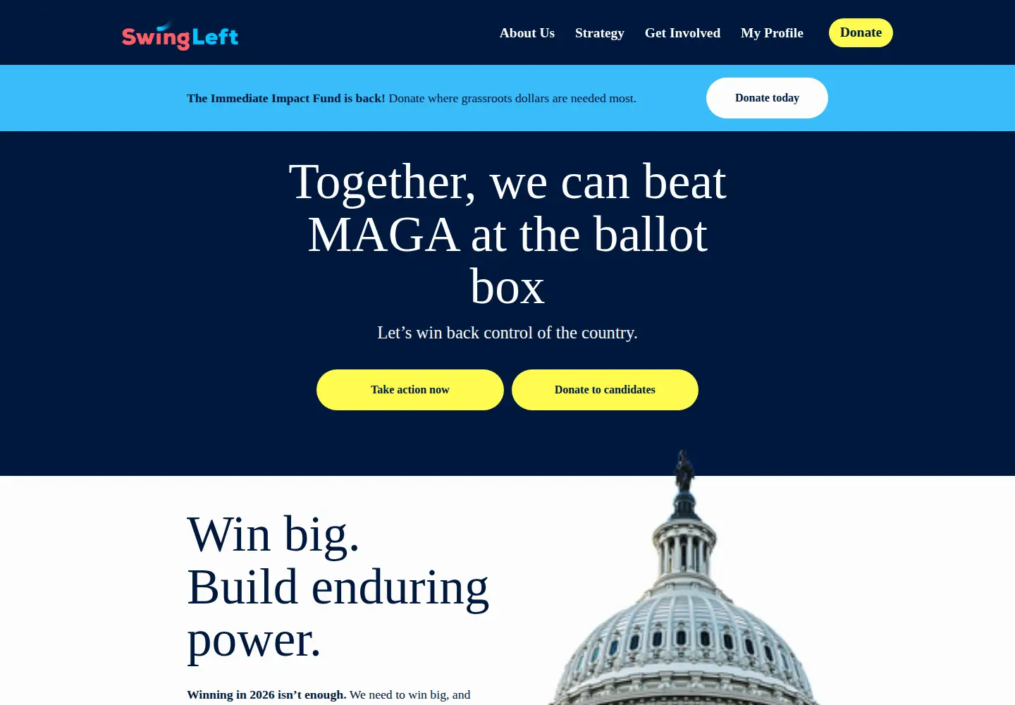 Captured homepage of swingleft.org in the current scan