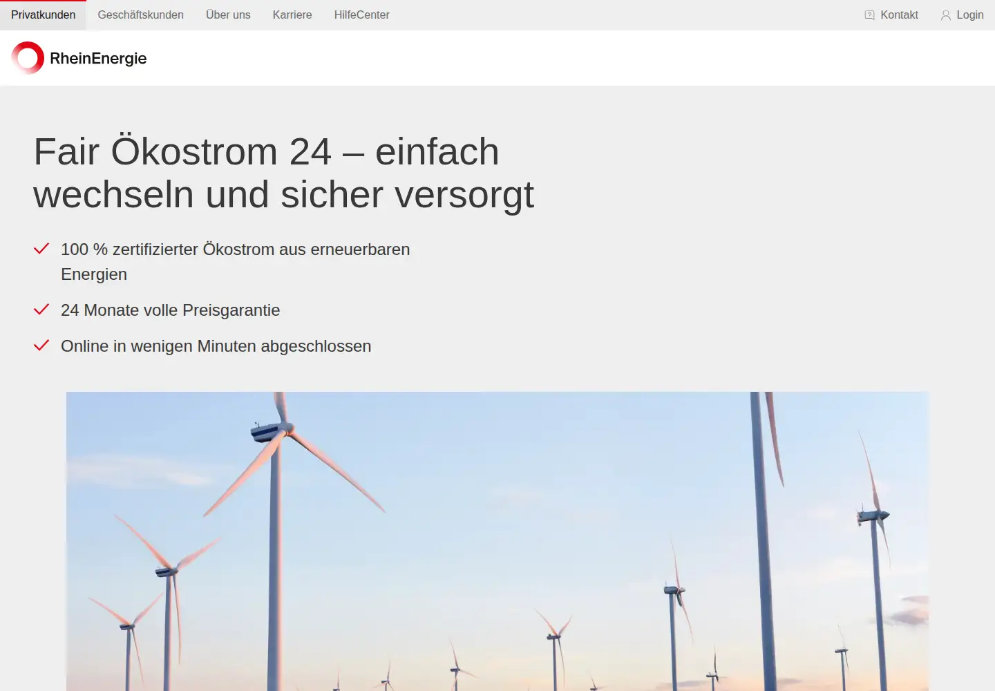 Captured homepage of rheinenergie.com in the current scan