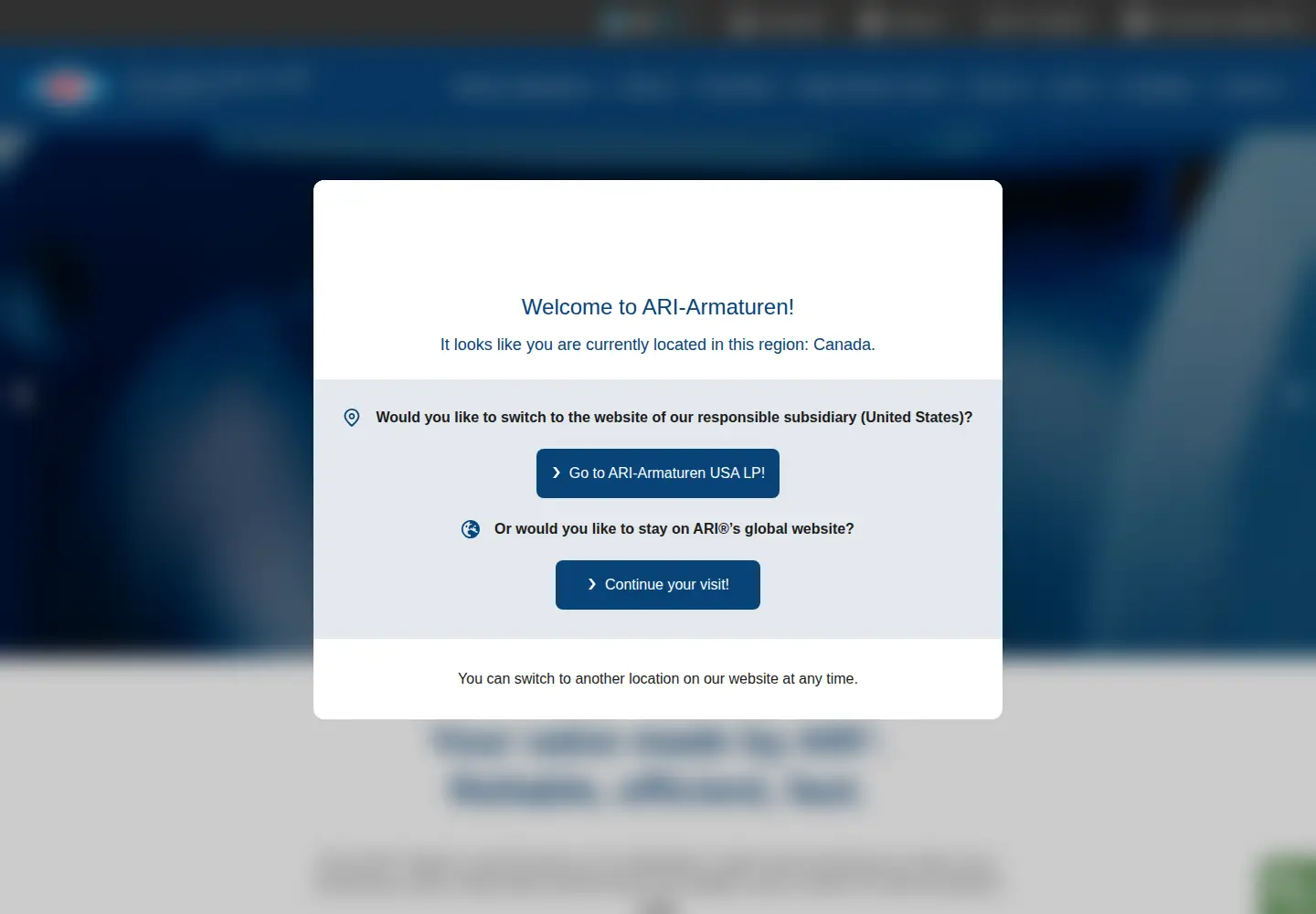 Screenshot of ari-armaturen.com
