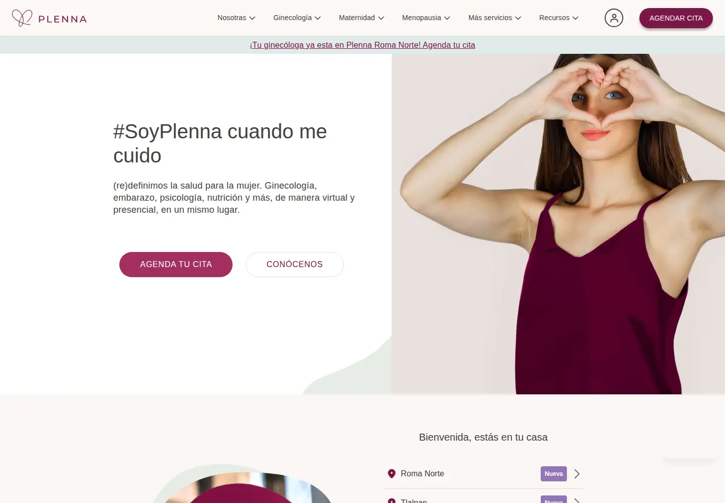 Screenshot of soyplenna.com