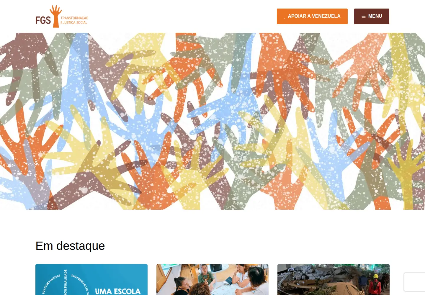 Screenshot of fgs.org.pt