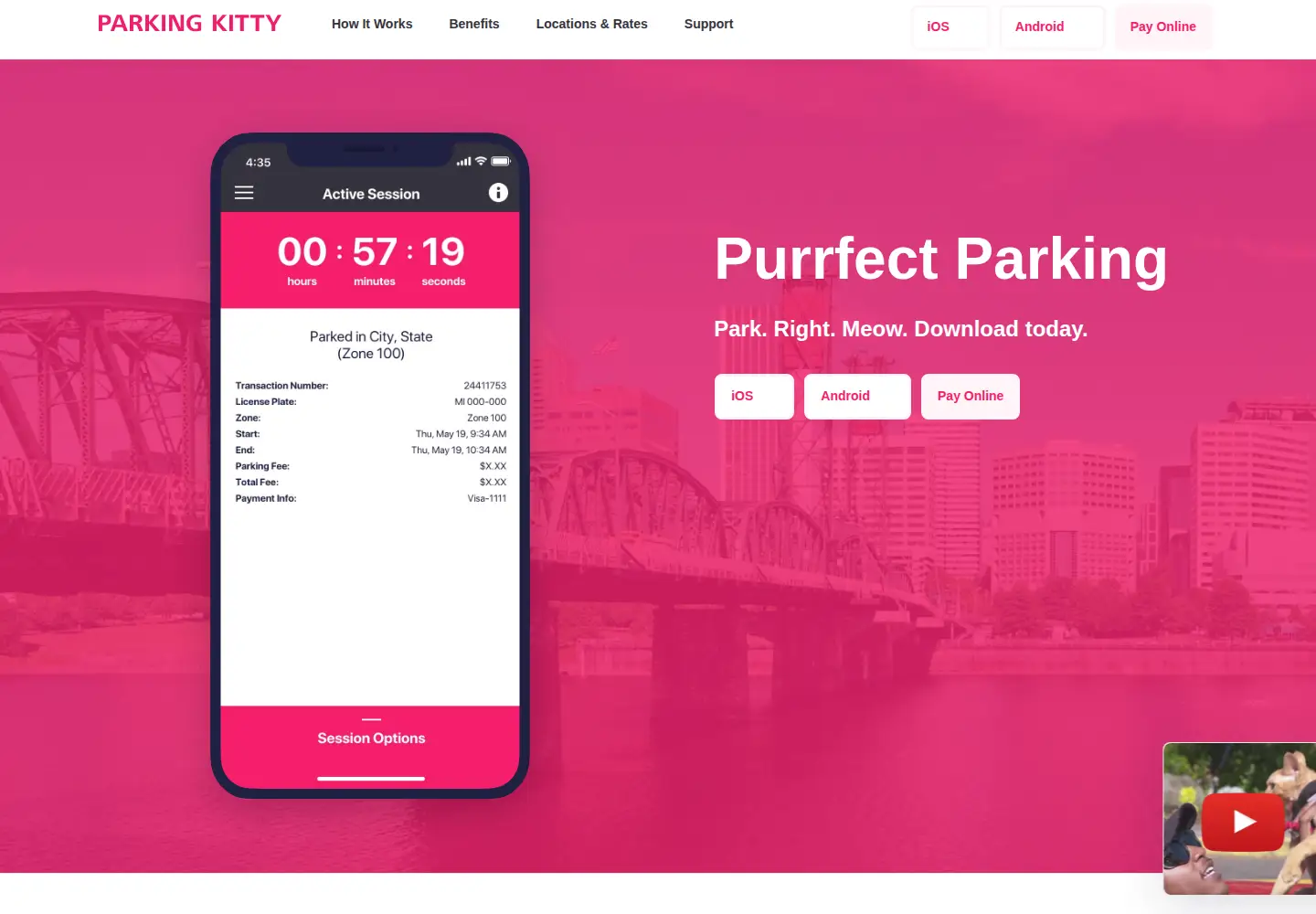 Captured homepage of parkingkitty.com in the current scan
