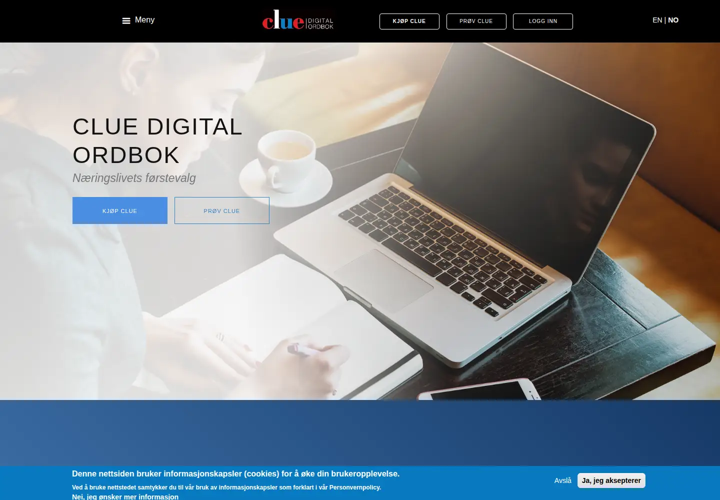 Captured homepage of clue-online.no in the current scan