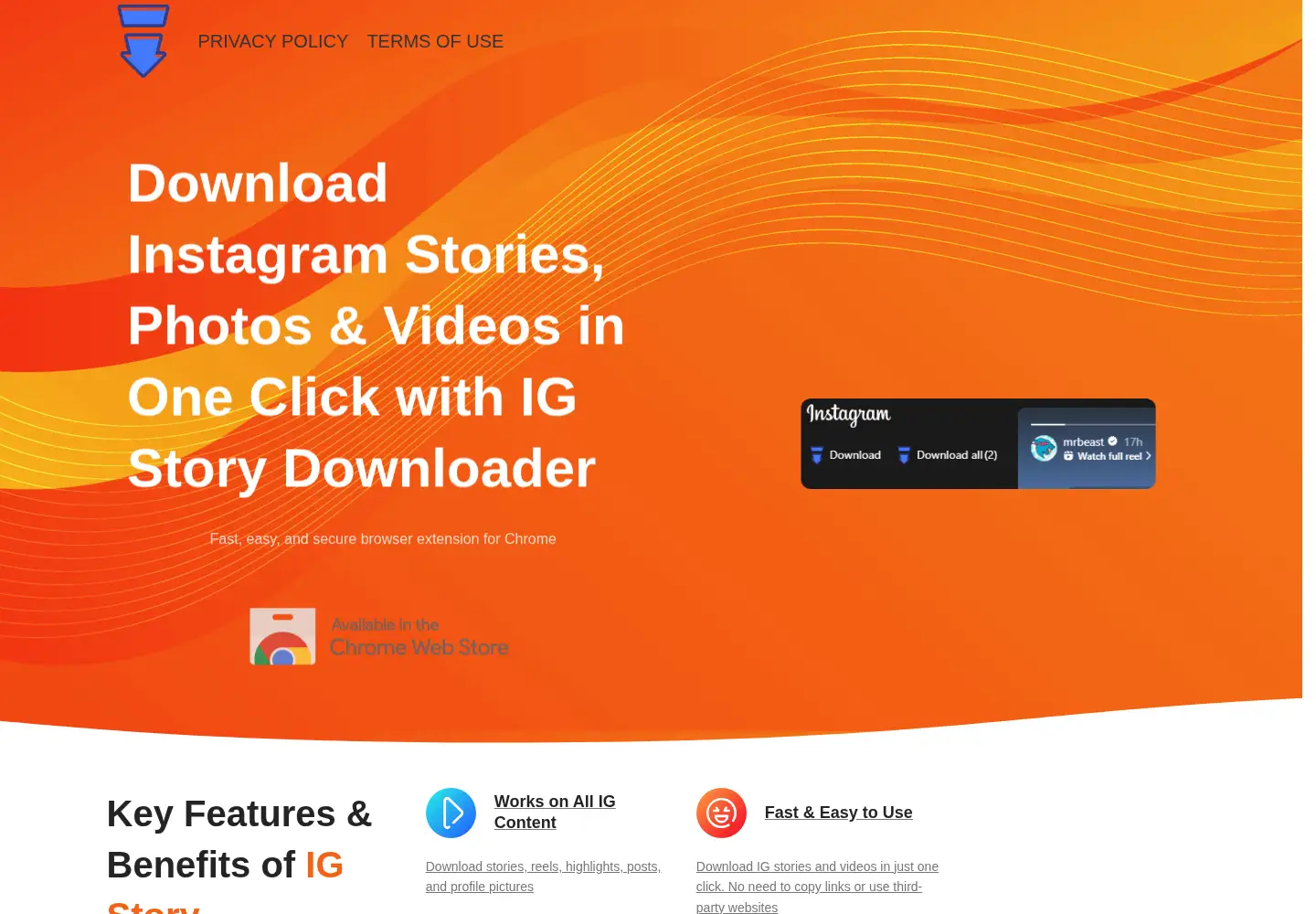 Captured homepage of ig-story-downloader.com in the current scan