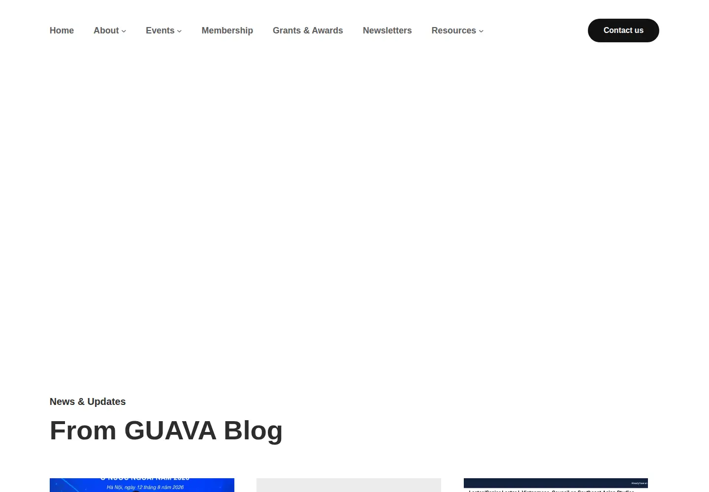 Captured homepage of guavamerica.org in the current scan