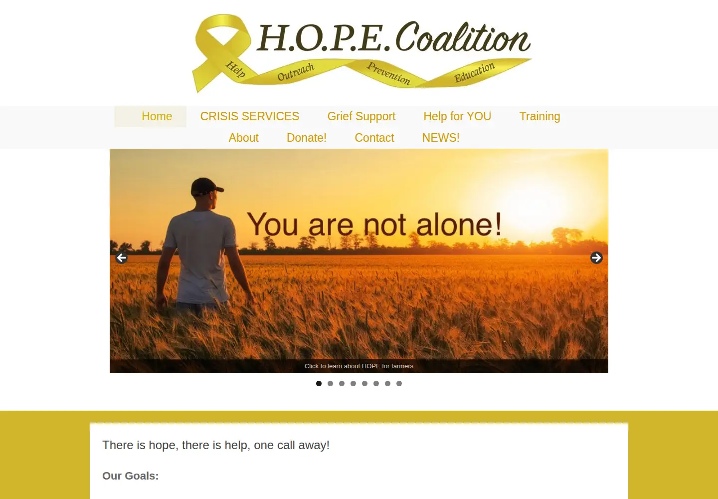 Screenshot of mnhopecoalition.org