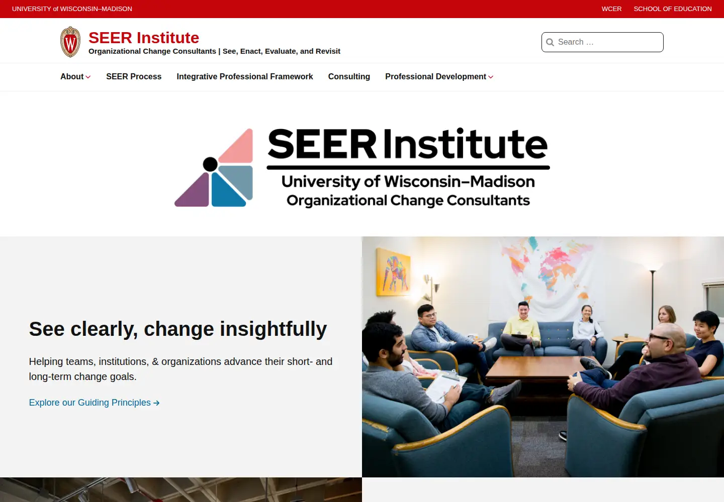 Screenshot of theseerinstitute.org