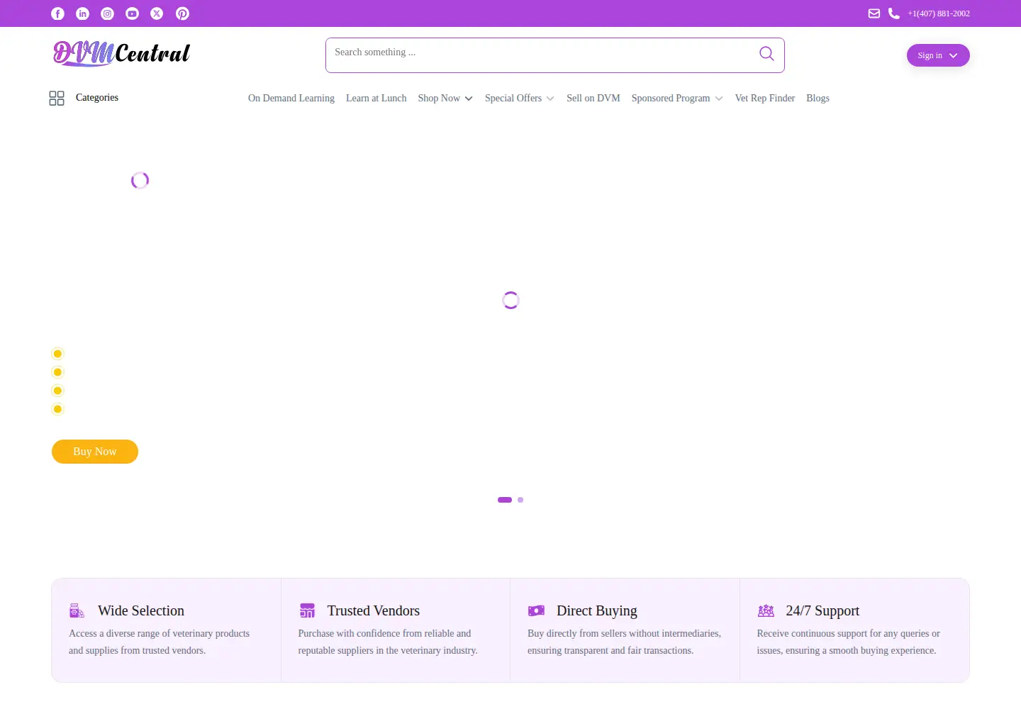 Screenshot of dvmcentral.com