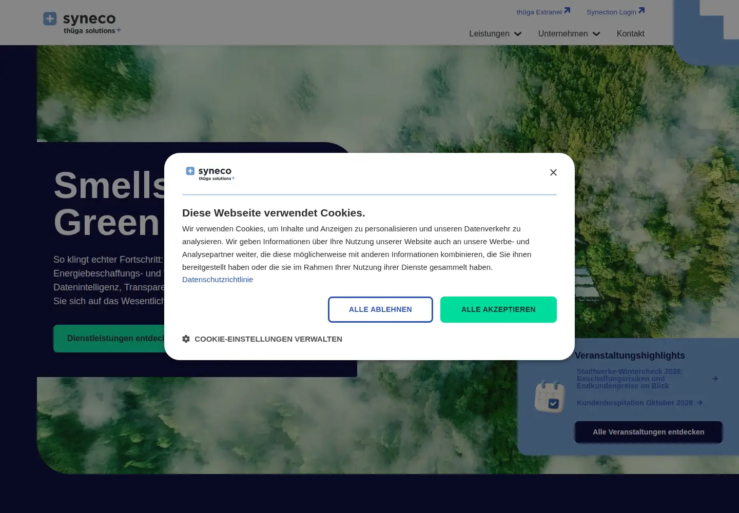 Captured homepage of syneco.net in the current scan