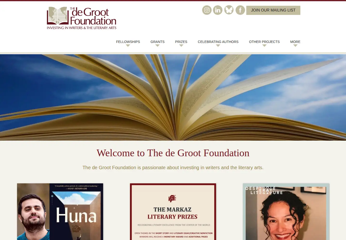 Screenshot of degrootfoundation.org