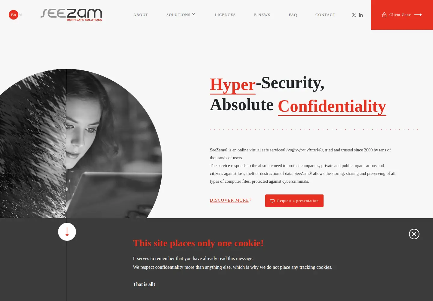 Captured homepage of seezam.com in the current scan