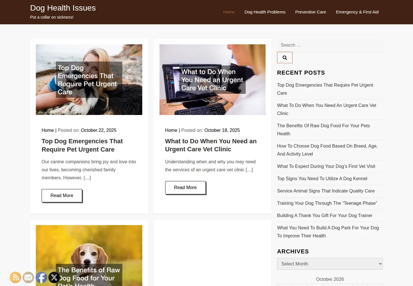 Screenshot of doghealthissues.net