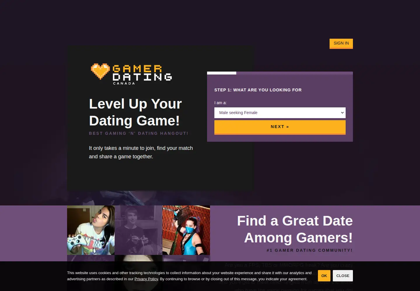 Screenshot of gamer-dating.com