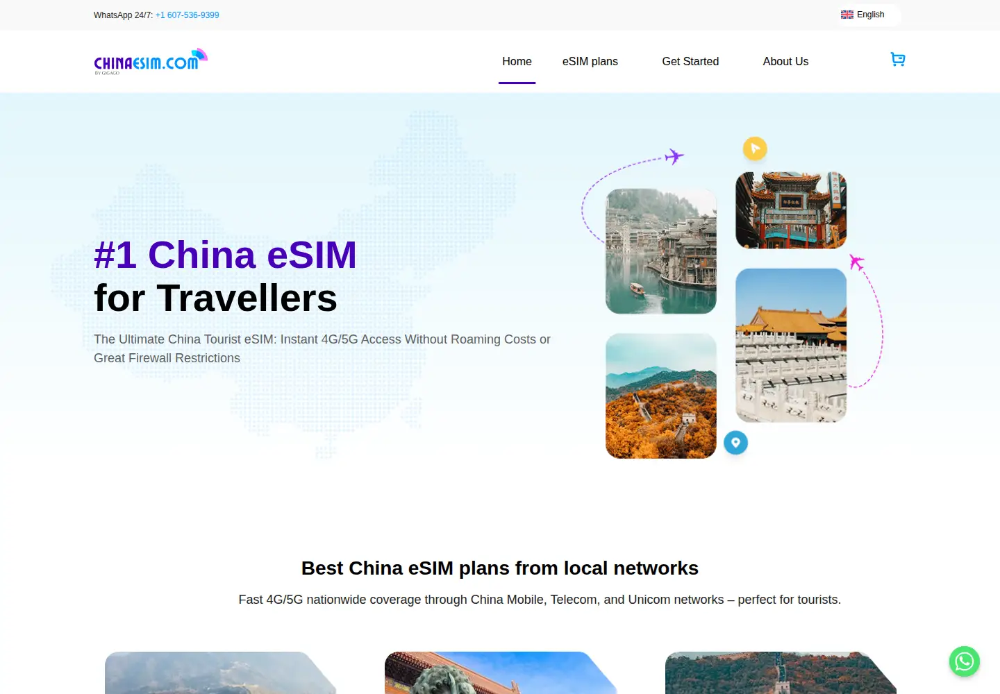 Captured homepage of chinaesim.com in the current scan
