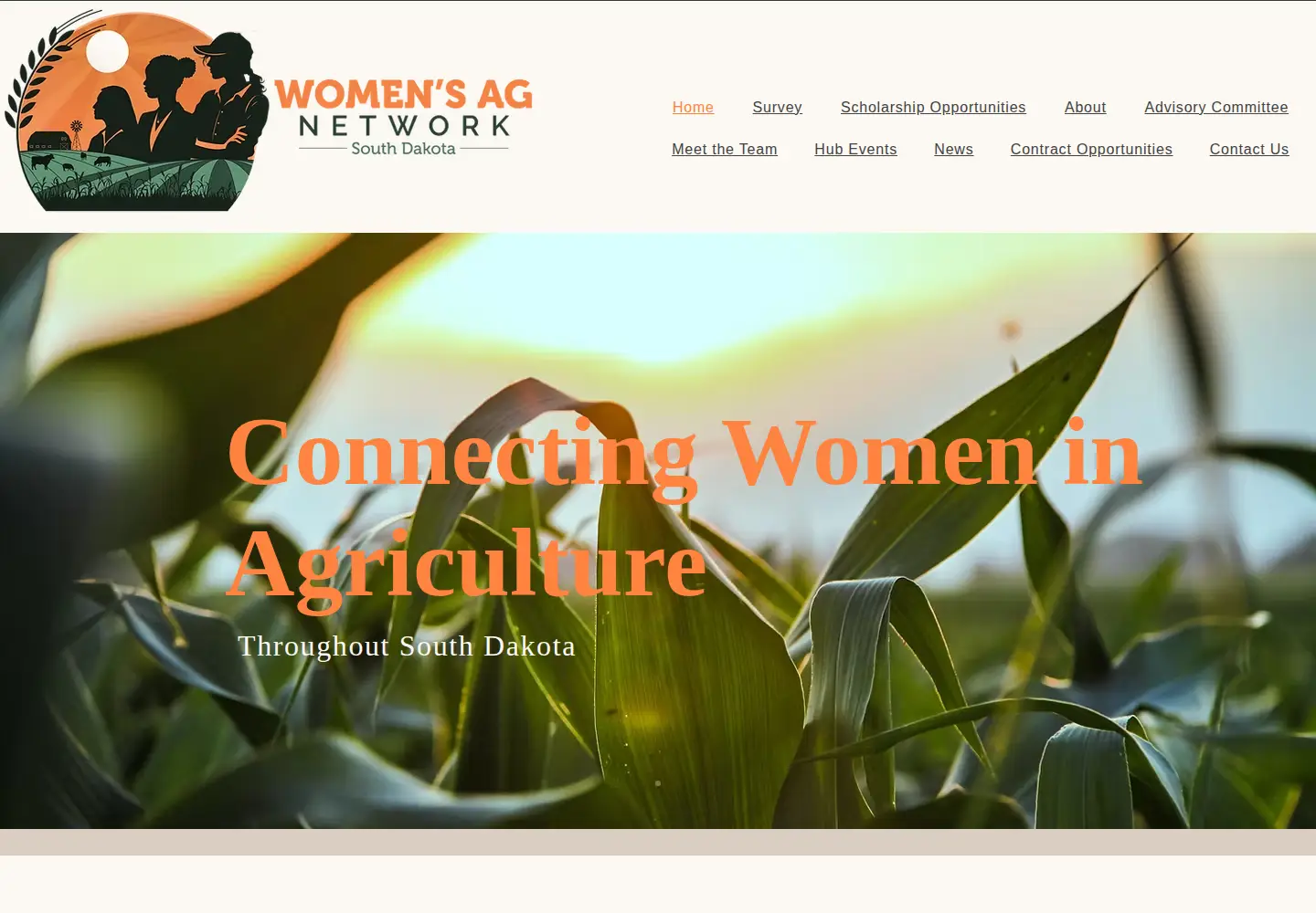 Screenshot of womensagnetwork.org