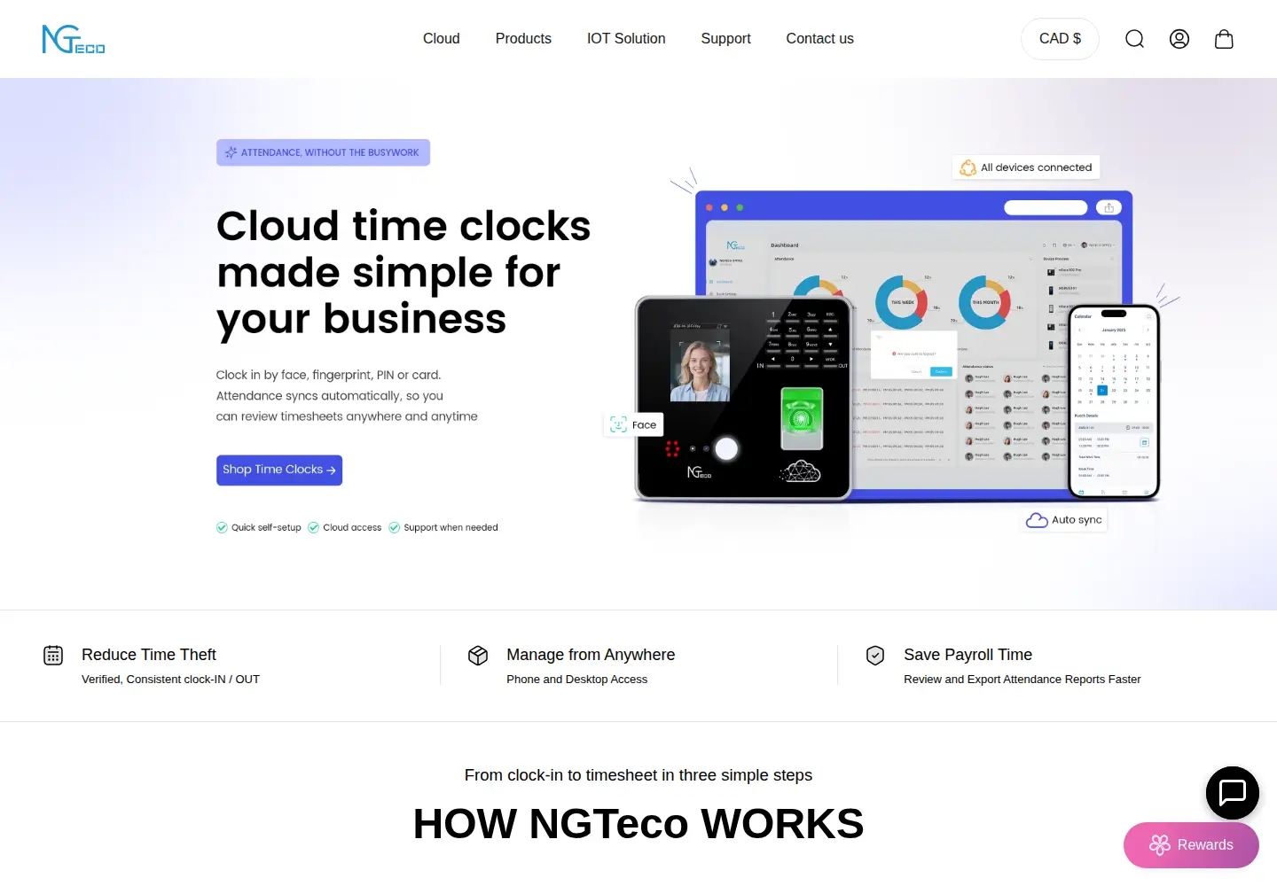 Screenshot of ngteco.com