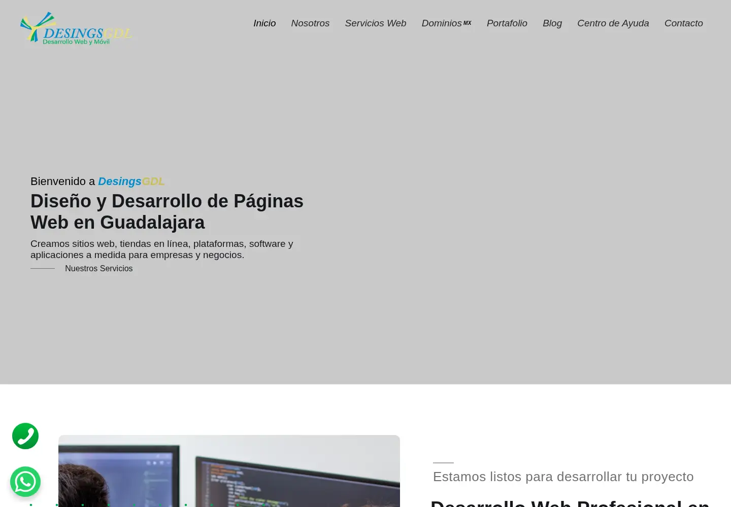 Captured homepage of desingsgdl.com.mx in the current scan