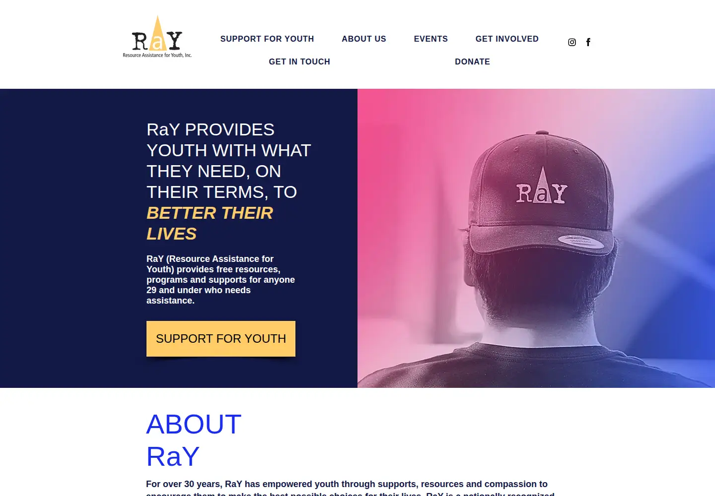 Screenshot of rayinc.ca