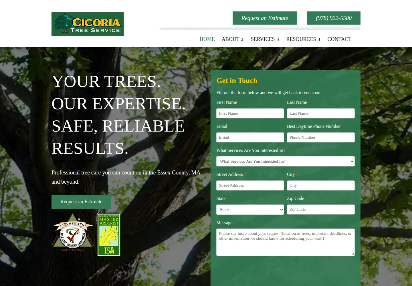 Screenshot of cicoriatree.com