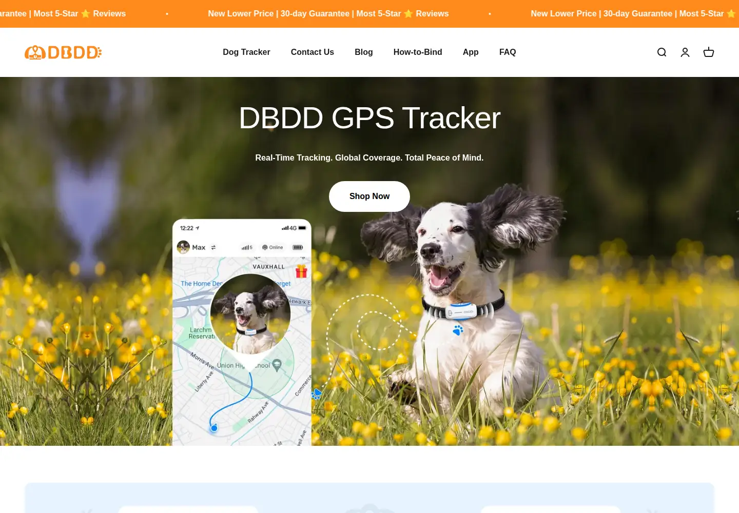 Screenshot of dbddglobal.com