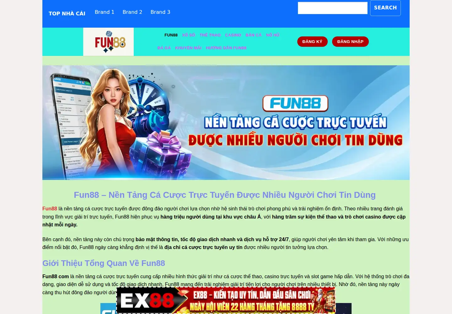 Captured homepage of fun8810.com in the current scan