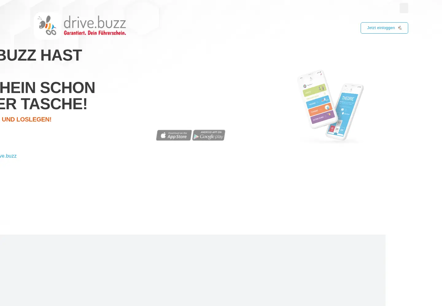 Screenshot of drive.buzz