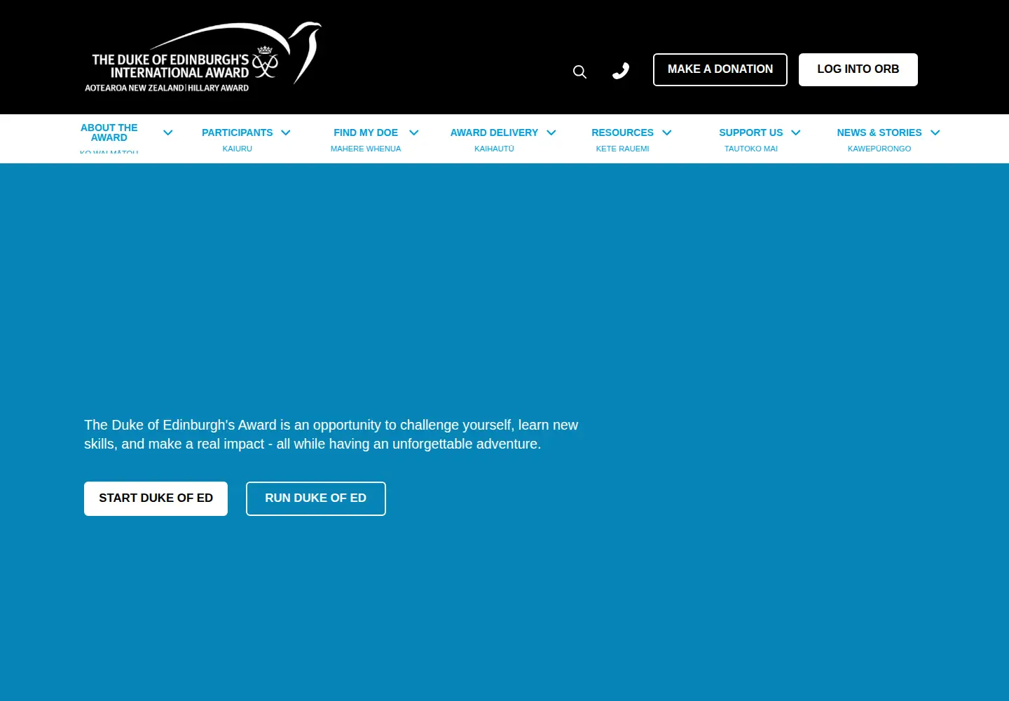 Captured homepage of dofehillary.org.nz in the current scan