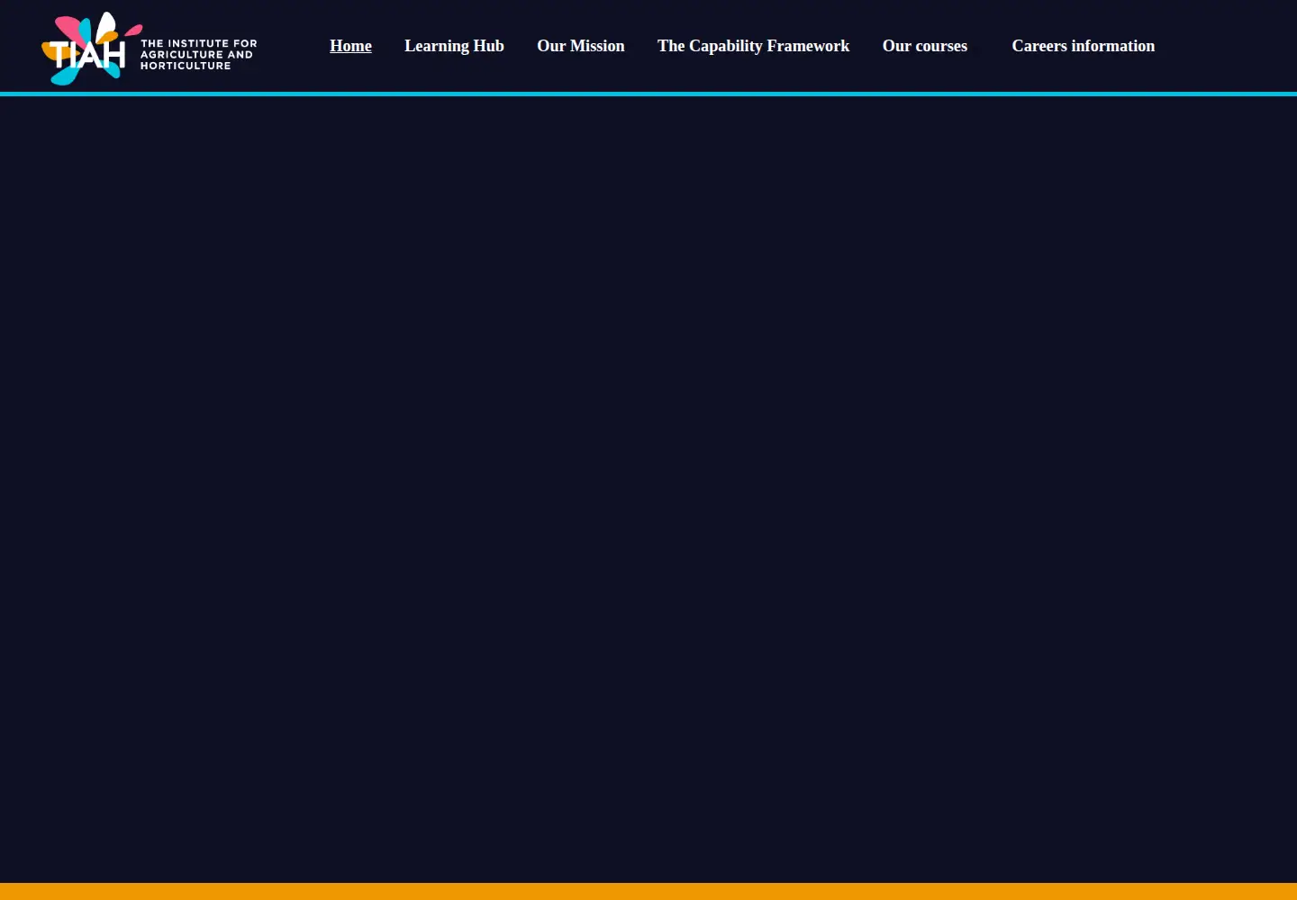 Captured homepage of tiah.org in the current scan