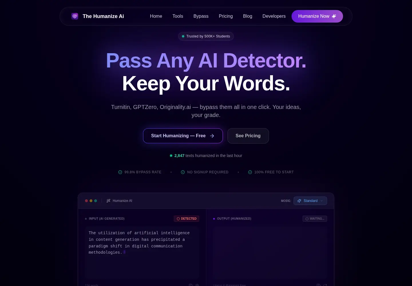 Captured homepage of thehumanizeai.pro in the current scan