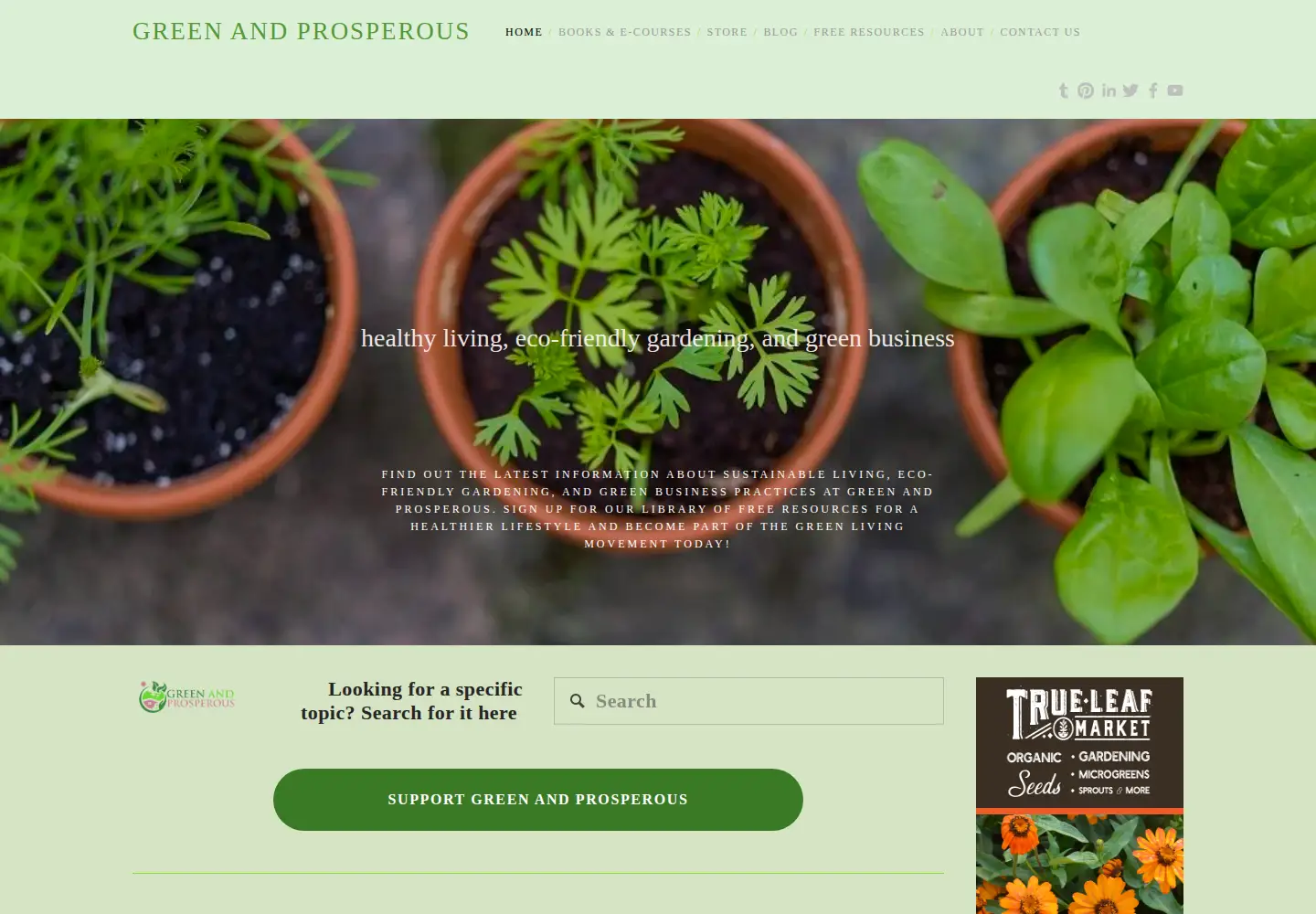 Captured homepage of greenandprosperous.com in the current scan