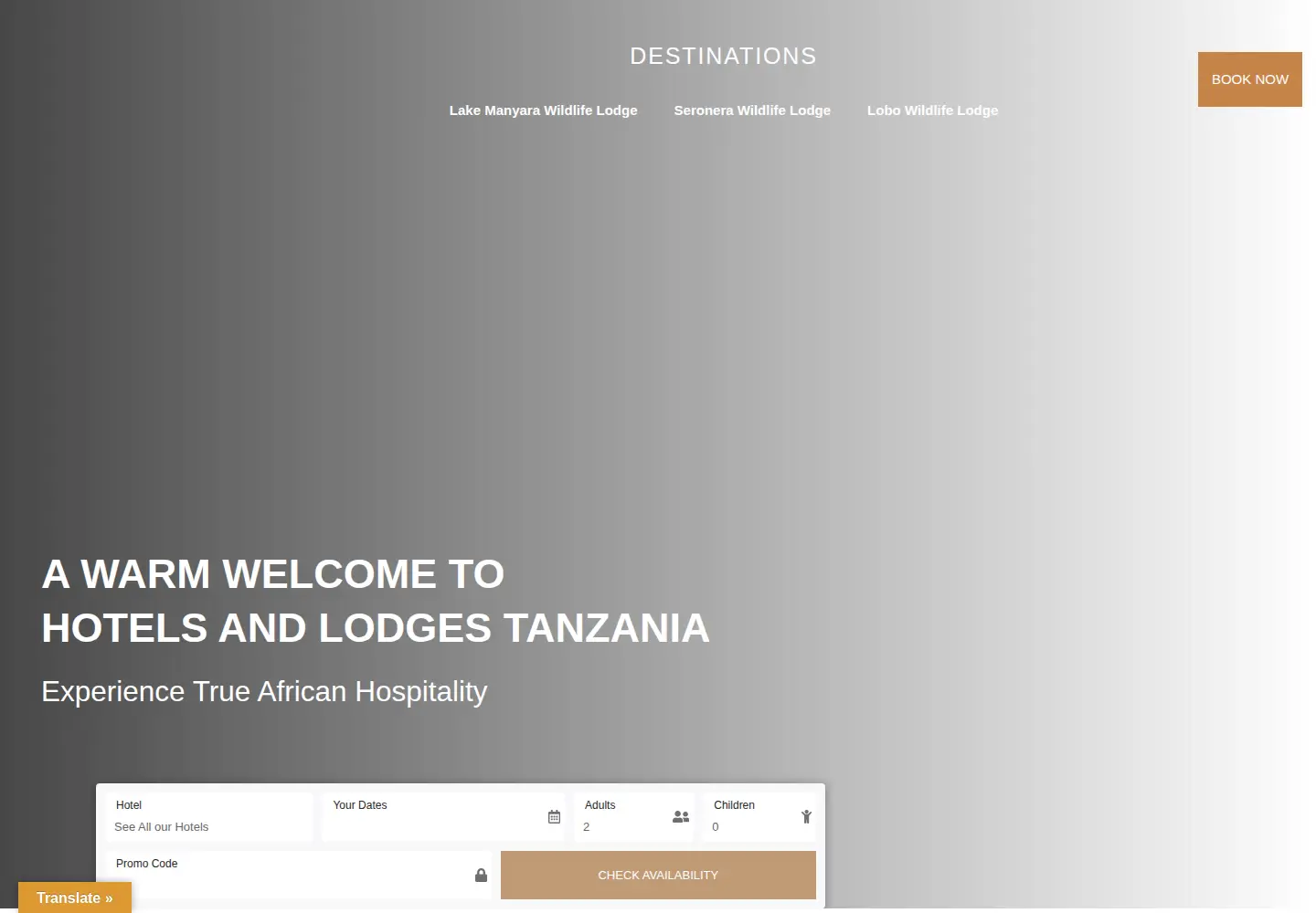 Screenshot of hotelsandlodges-tanzania.com